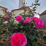 Refugio Do Nevoeiro Estudio *