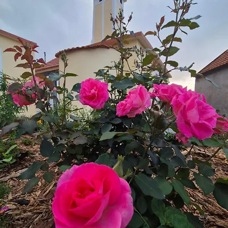 Refúgio Do Nevoeiro Estudio *