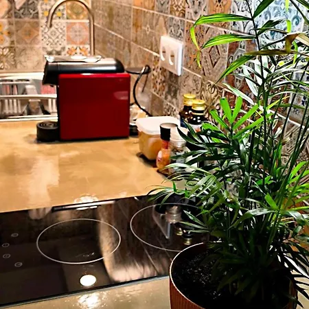 Refúgio Do Nevoeiro Estudio