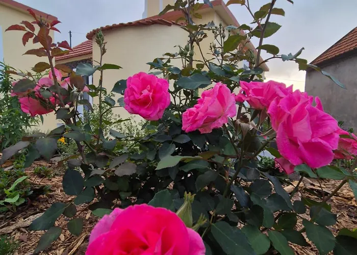 Refugio Do Nevoeiro Estudio *