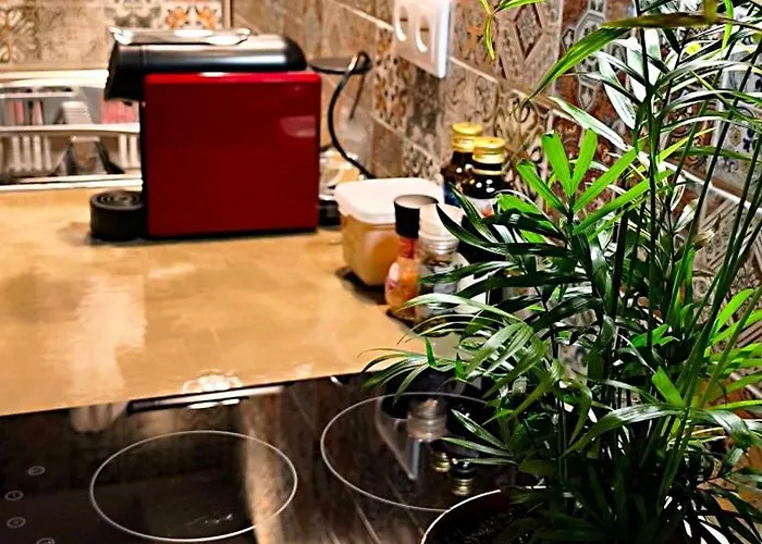 Refugio Do Nevoeiro Estudio